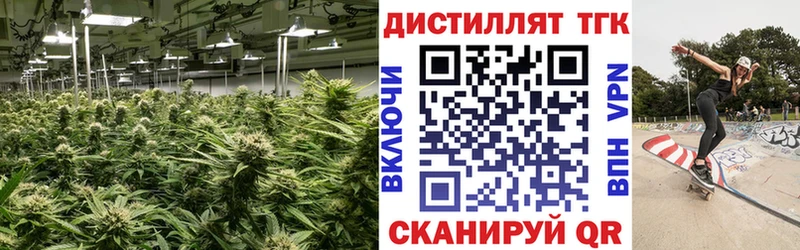 Купить  Новопавловск  ТГК вейп 