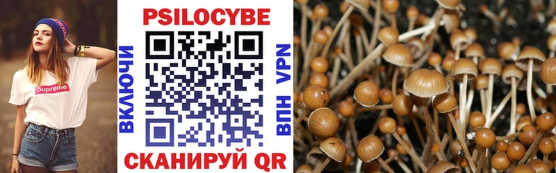 Купить  Новопавловск  Галлюциногенные грибы Cubensis 